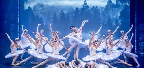 🦢 ,,JEZIORO ŁABĘDZIE” W BIAŁYMSTOKU | KRÓLEWSKI BALET KLASYCZNY 🦢