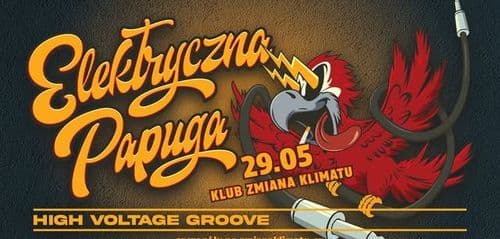 ELEKTRYCZNA PAPUGA ⚡ High Voltage Groove ⚡ koncert
