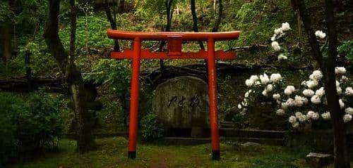 Ciekawi Świata / Joanna Murzydło: Shikoku Henro – szlakiem 88 świątyń na wyspie Shikoku w Japonii