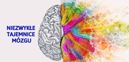 Niezwykłe Tajemnice Mózgu