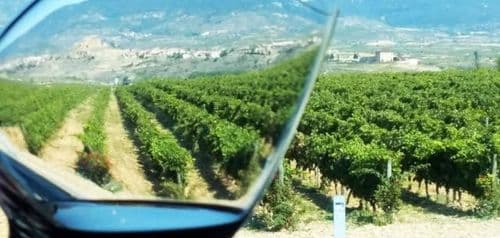 Degustacja Tajemnice Winnic 12.03.2026 - wydarzenie w Białymstoku