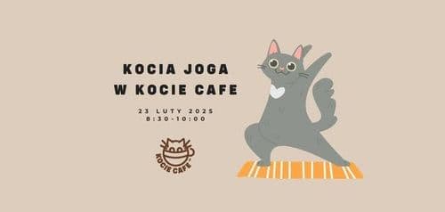 Kocia Joga w Kocie Cafe