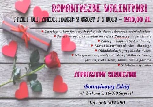 Romantyczne Walentynki /Hotel Borowinowy Zdrój