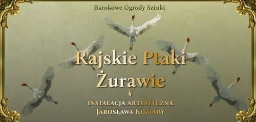 Rajskie ptaki – żurawie | IX Festiwal Barokowe Ogrody Sztuki